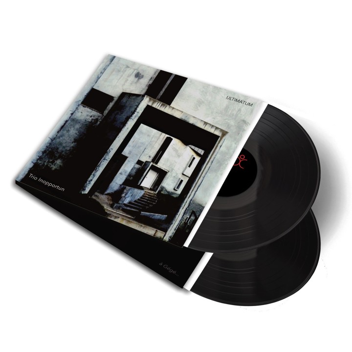 Pressage de vos vinyles 12" en gatefold | Distrolution Merch